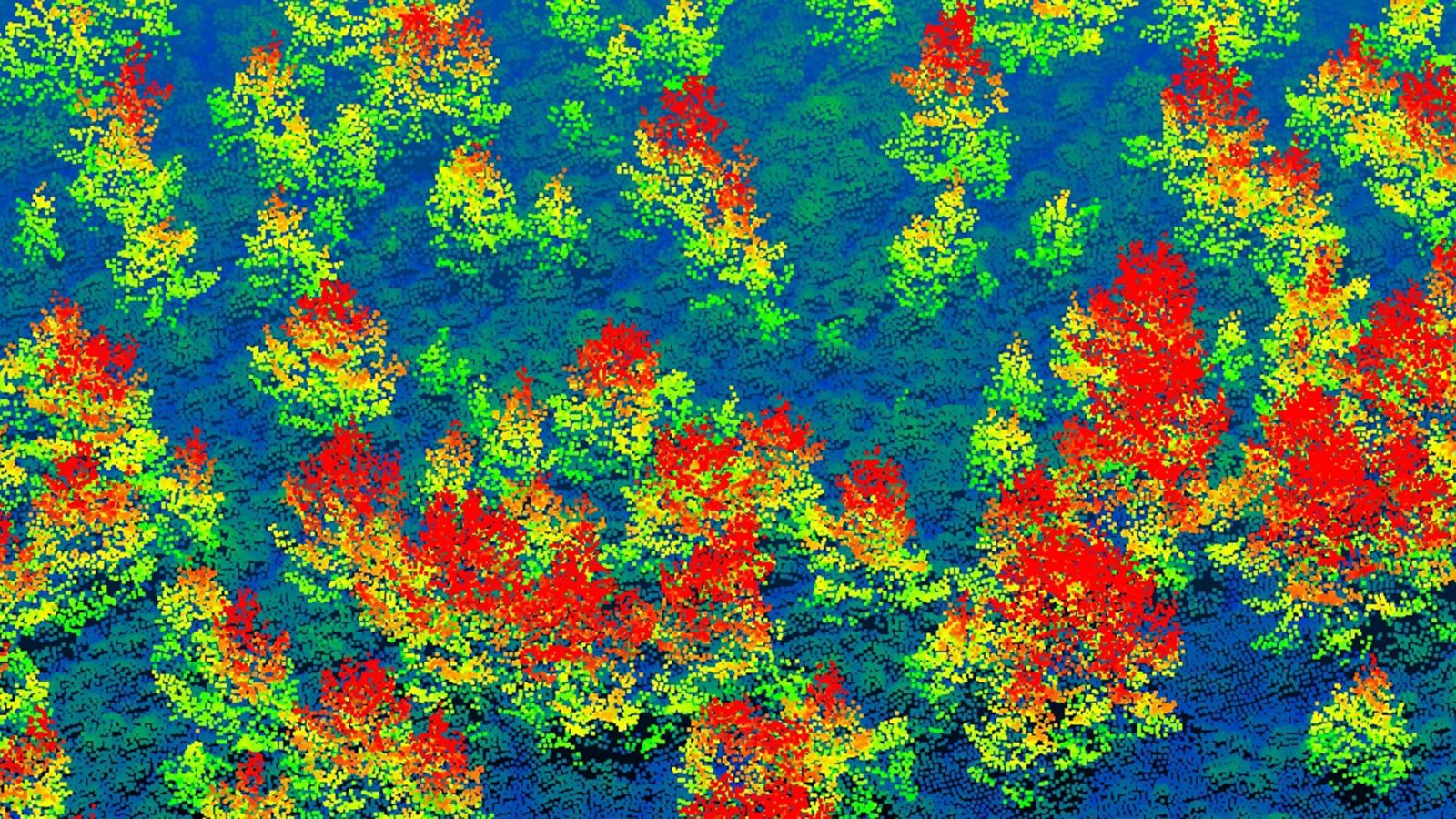 LiDAR point-cloud map of young trees seen from above, each tree coloured by height from blue and green at ground level to yellow and red at the tallest crowns